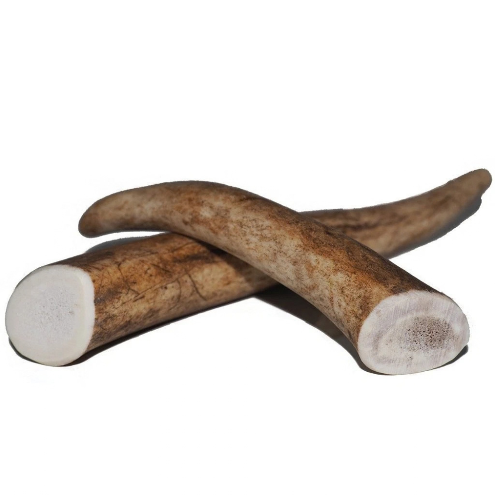 New South Wales Naturally Shed Deer Antlers