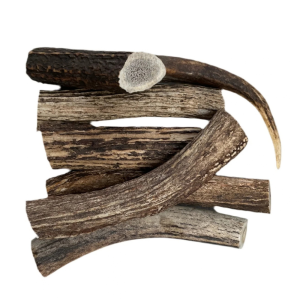 New South Wales Naturally Shed Deer Antlers