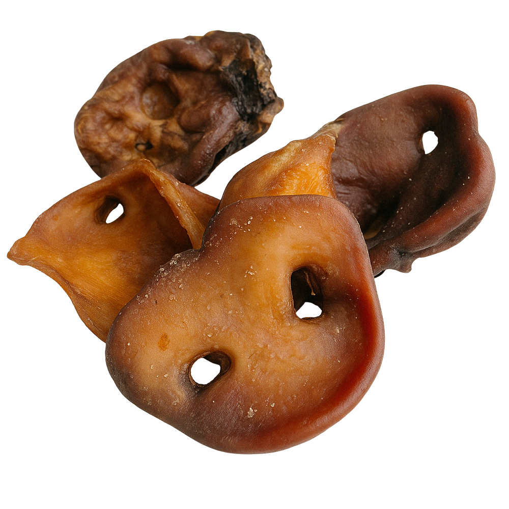 Australian Single Ingredient Pig Snouts for Dogs