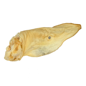 Australian Venison Ear Dog Treat
